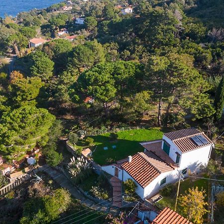 Villa Caterina Quiete E Mare-Goelba Сант'Андреа Екстер'єр фото