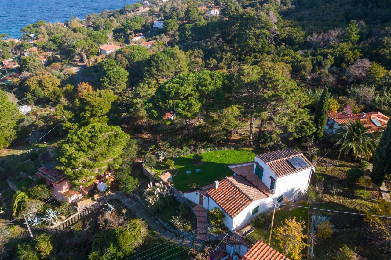 Villa Caterina Quiete E Mare-Goelba Сант'Андреа Екстер'єр фото