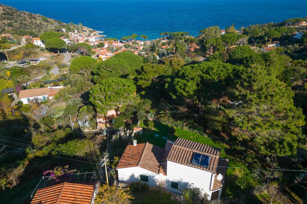 Villa Caterina Quiete E Mare-Goelba Сант'Андреа Екстер'єр фото